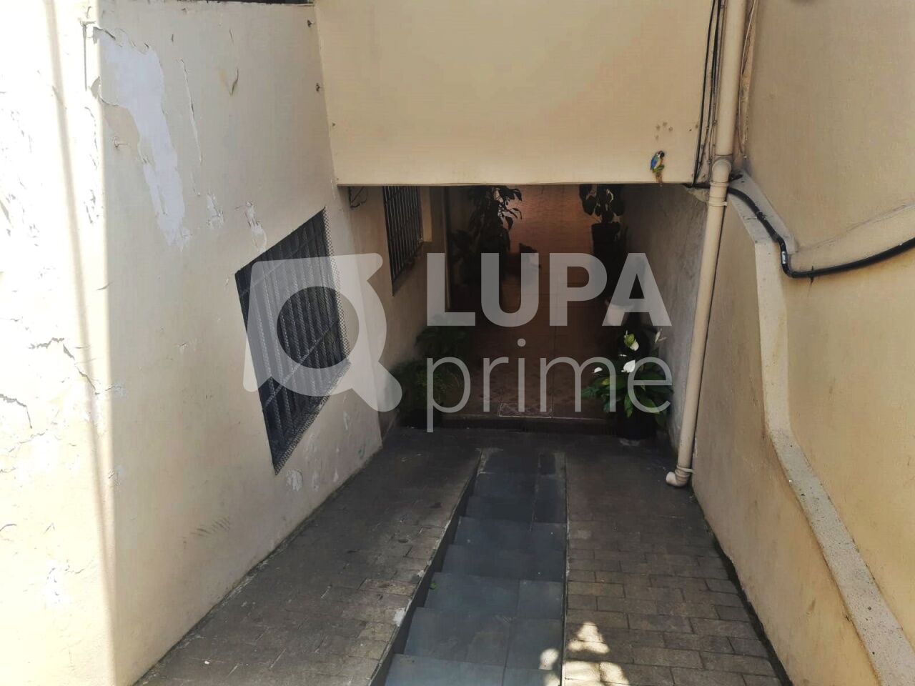 casa-terrea-locacao-sao-paulo-vila-maria-alta-2dormitorios-60m2-LM29211