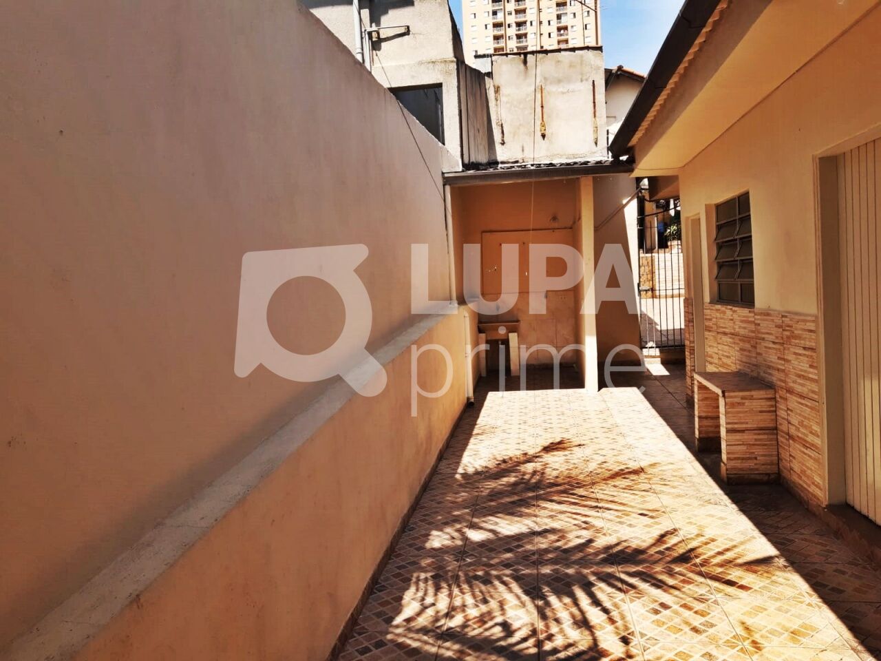 casa-terrea-locacao-sao-paulo-vila-maria-alta-2dormitorios-60m2-LM29211