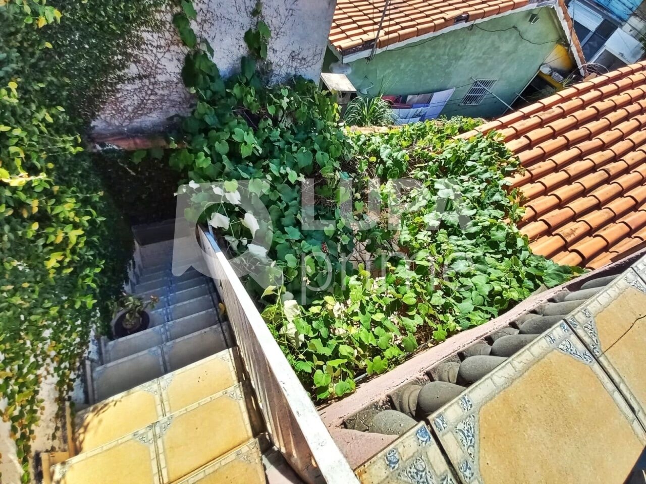 casa-terrea-venda-sao-paulo-parque-novo-mundo-2dormitorios-3vagas-54m2-LM29224