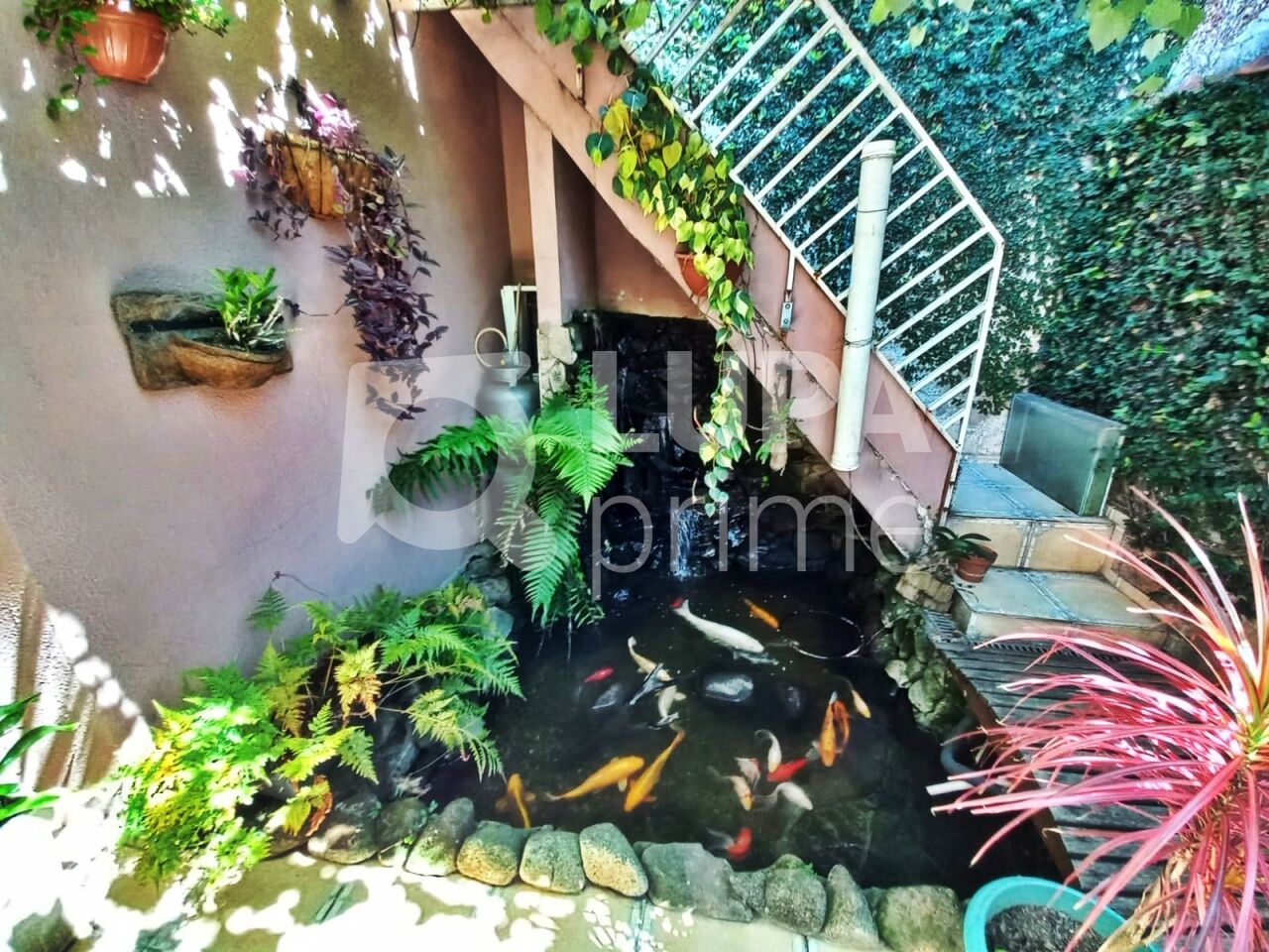 casa-terrea-venda-sao-paulo-parque-novo-mundo-2dormitorios-3vagas-54m2-LM29224