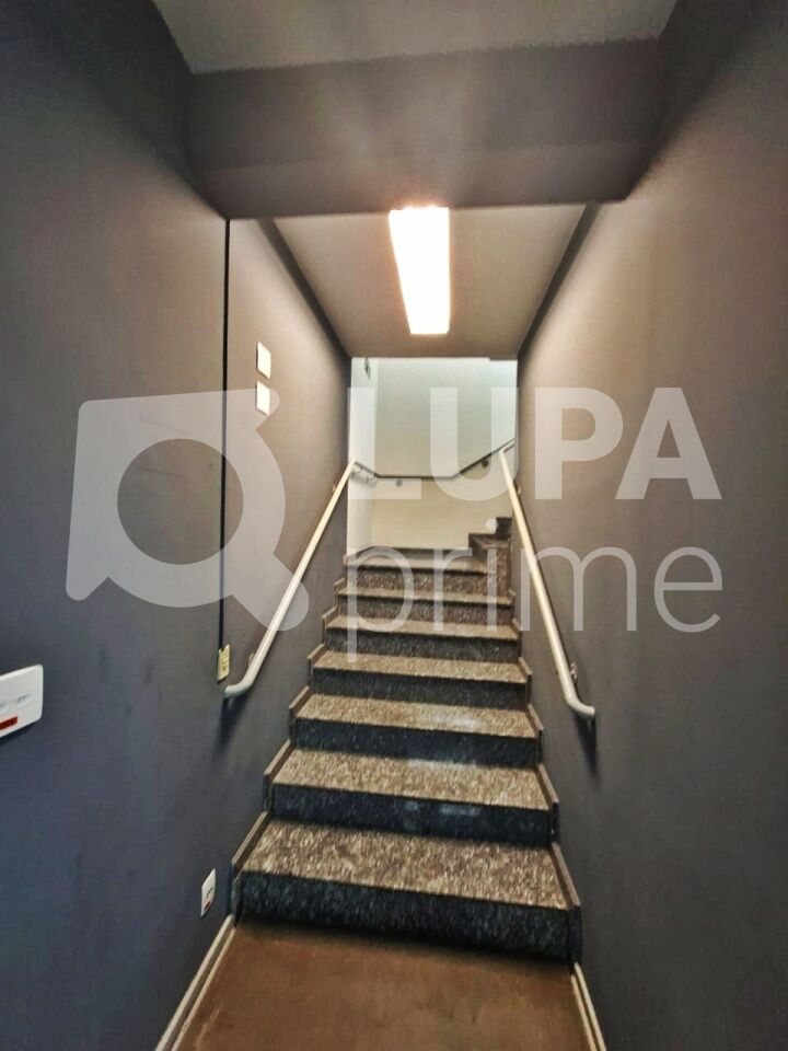 Sala-Conjunto, 347 m² - Foto 3