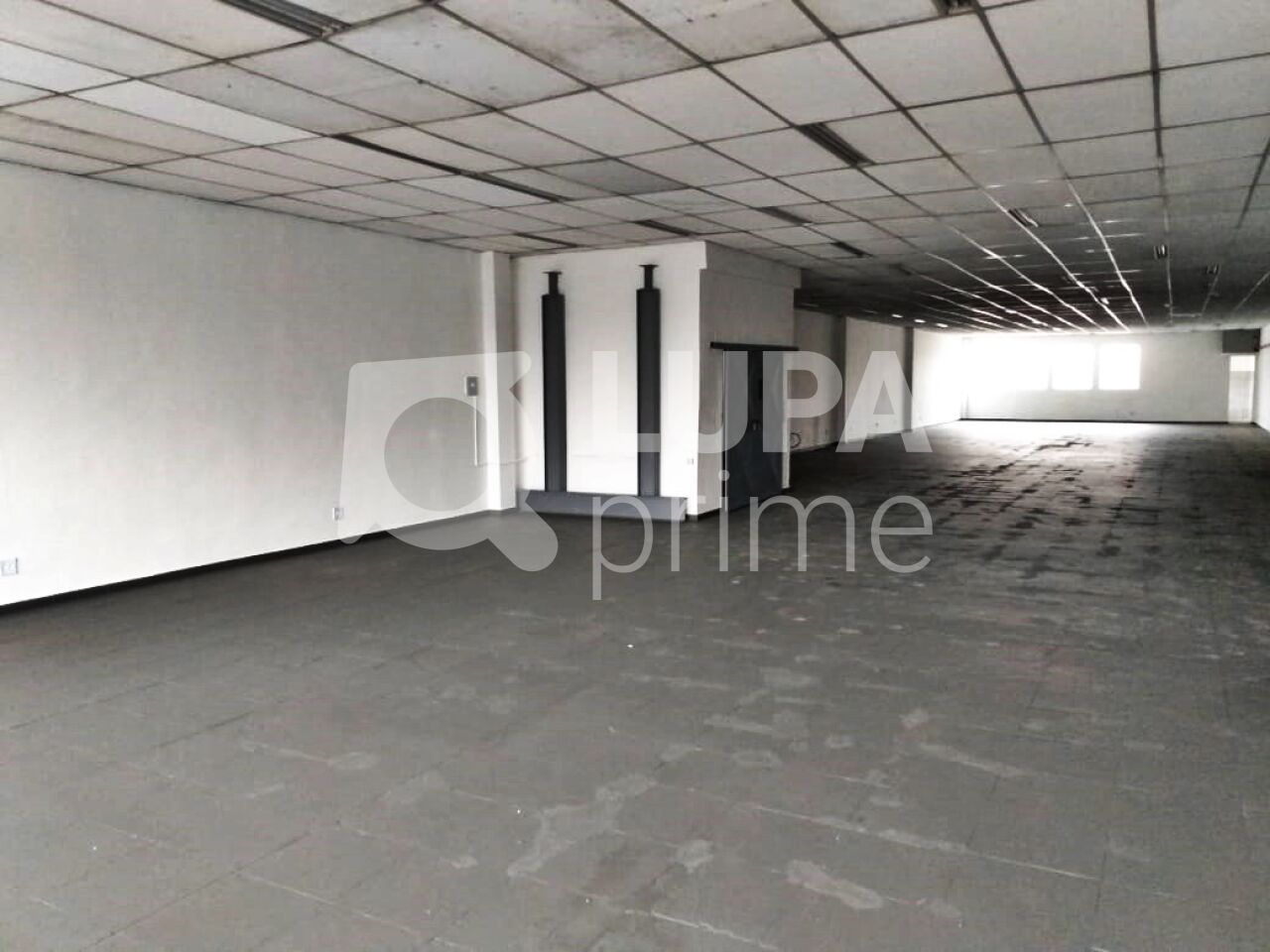 Depósito-Galpão, 1500 m² - Foto 3