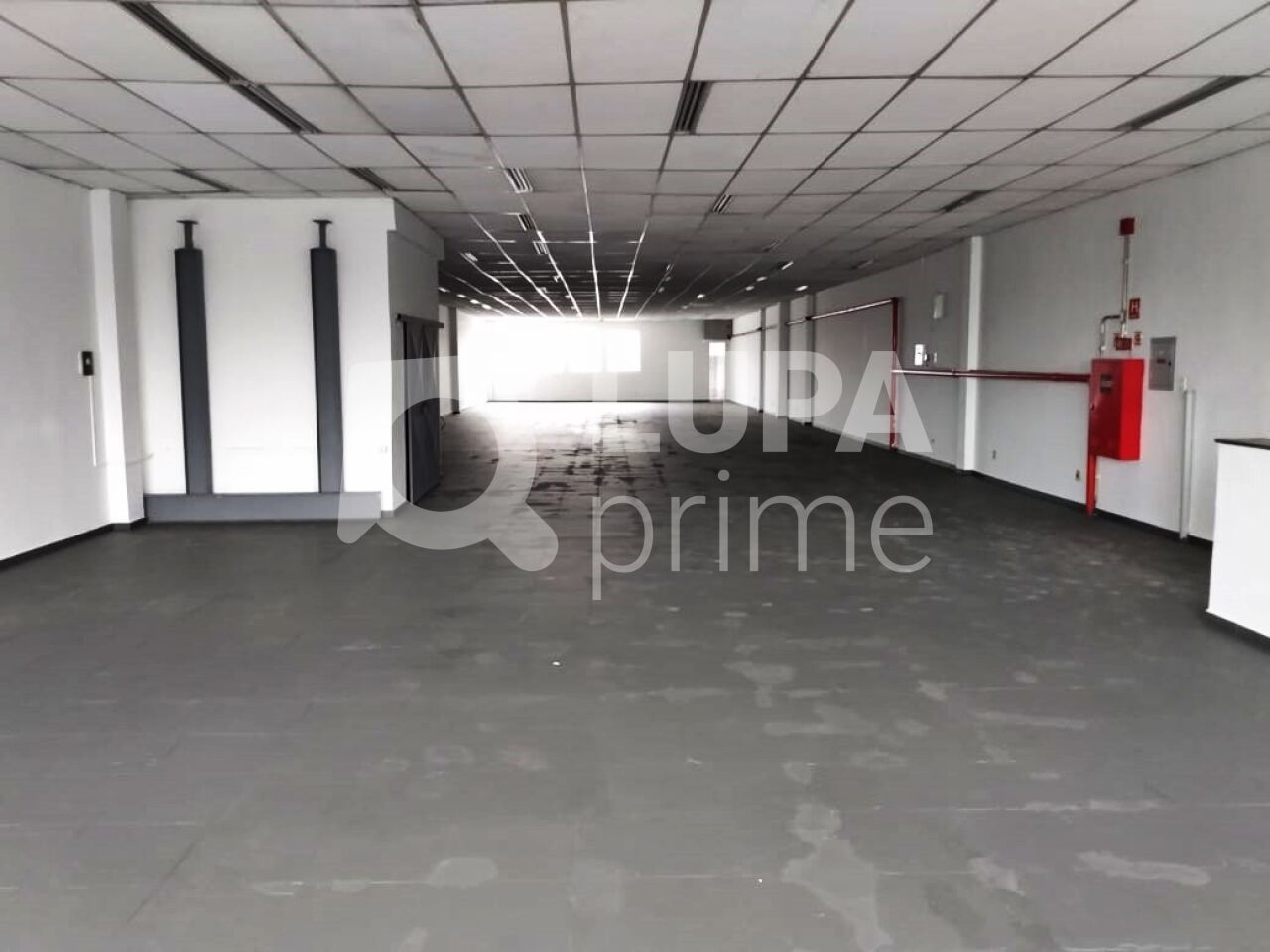 Depósito-Galpão, 1500 m² - Foto 4