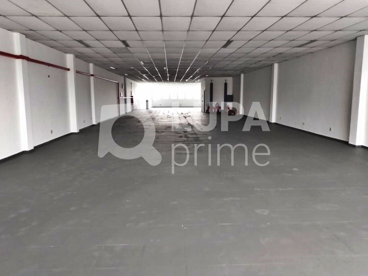 Depósito-Galpão, 1500 m² - Foto 1