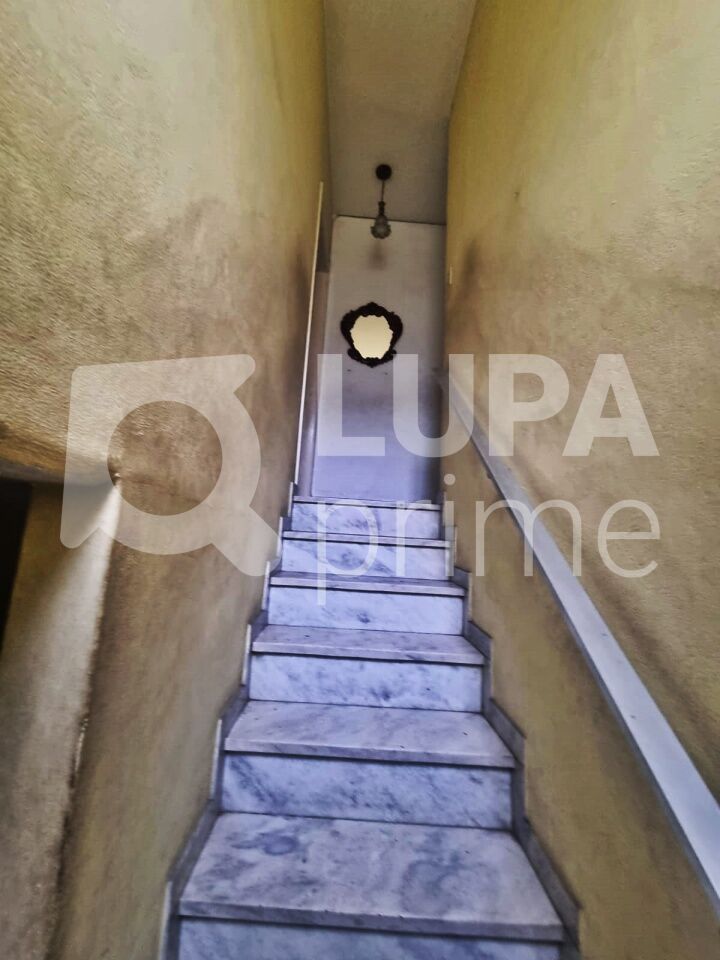 sobrado-venda-sao-paulo-vila-maria-baixa-5dormitorios-2vagas-102m2-LM29275