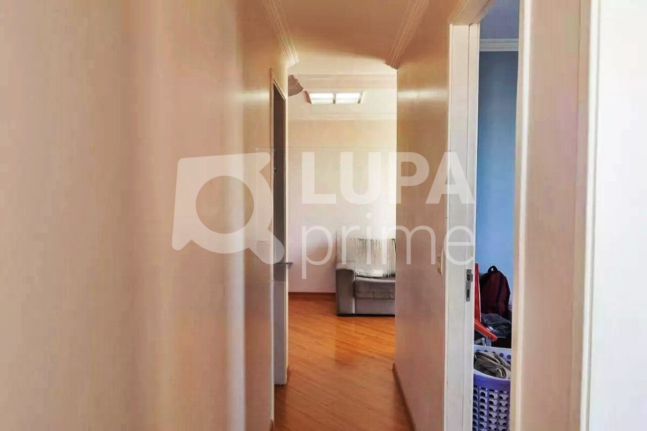 apartamento-venda-sao-paulo-vila-guilherme-3dormitorios-1suite-1vaga-67m2-LM29277