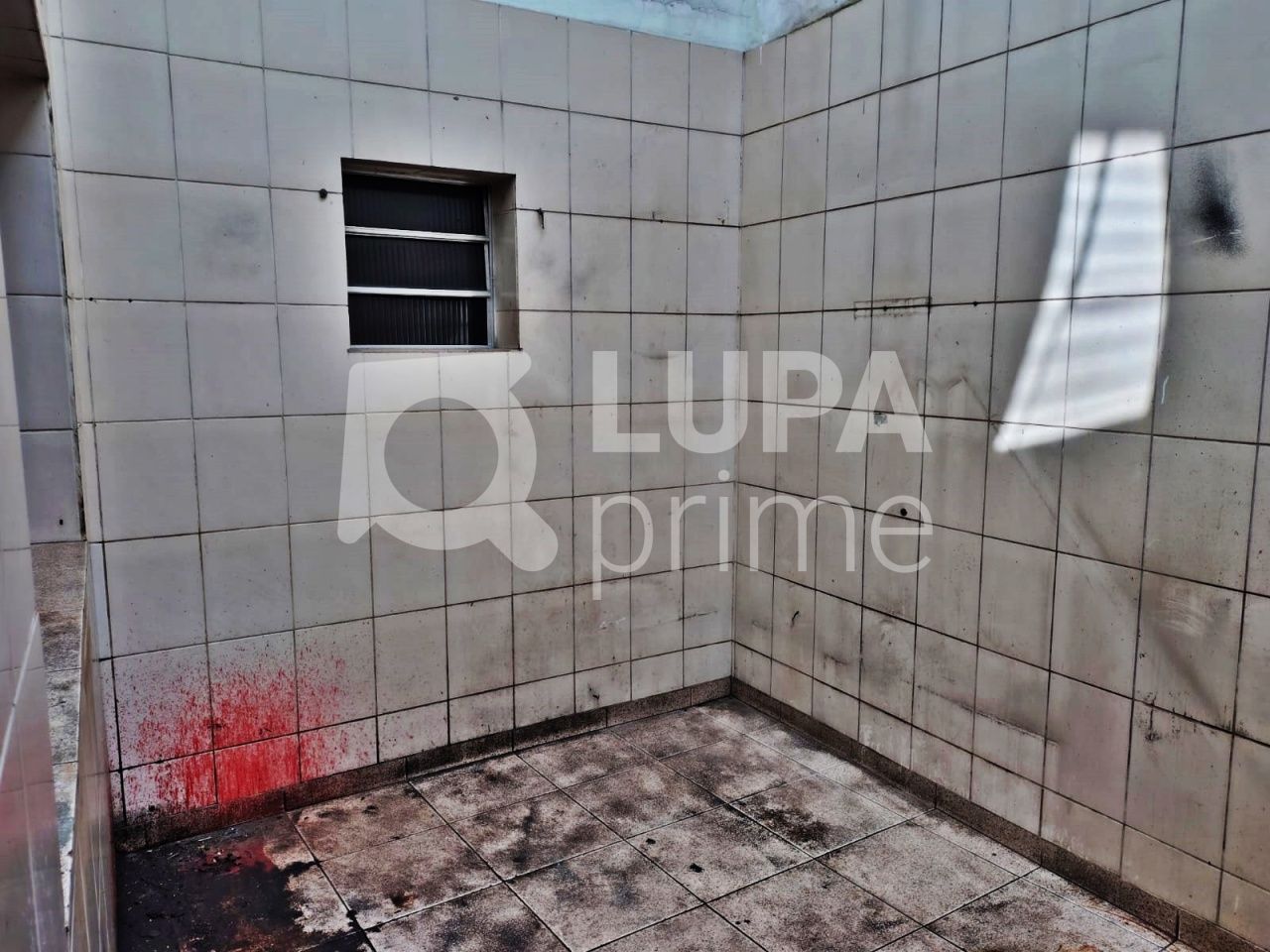 Depósito-Galpão, 184 m² - Foto 9