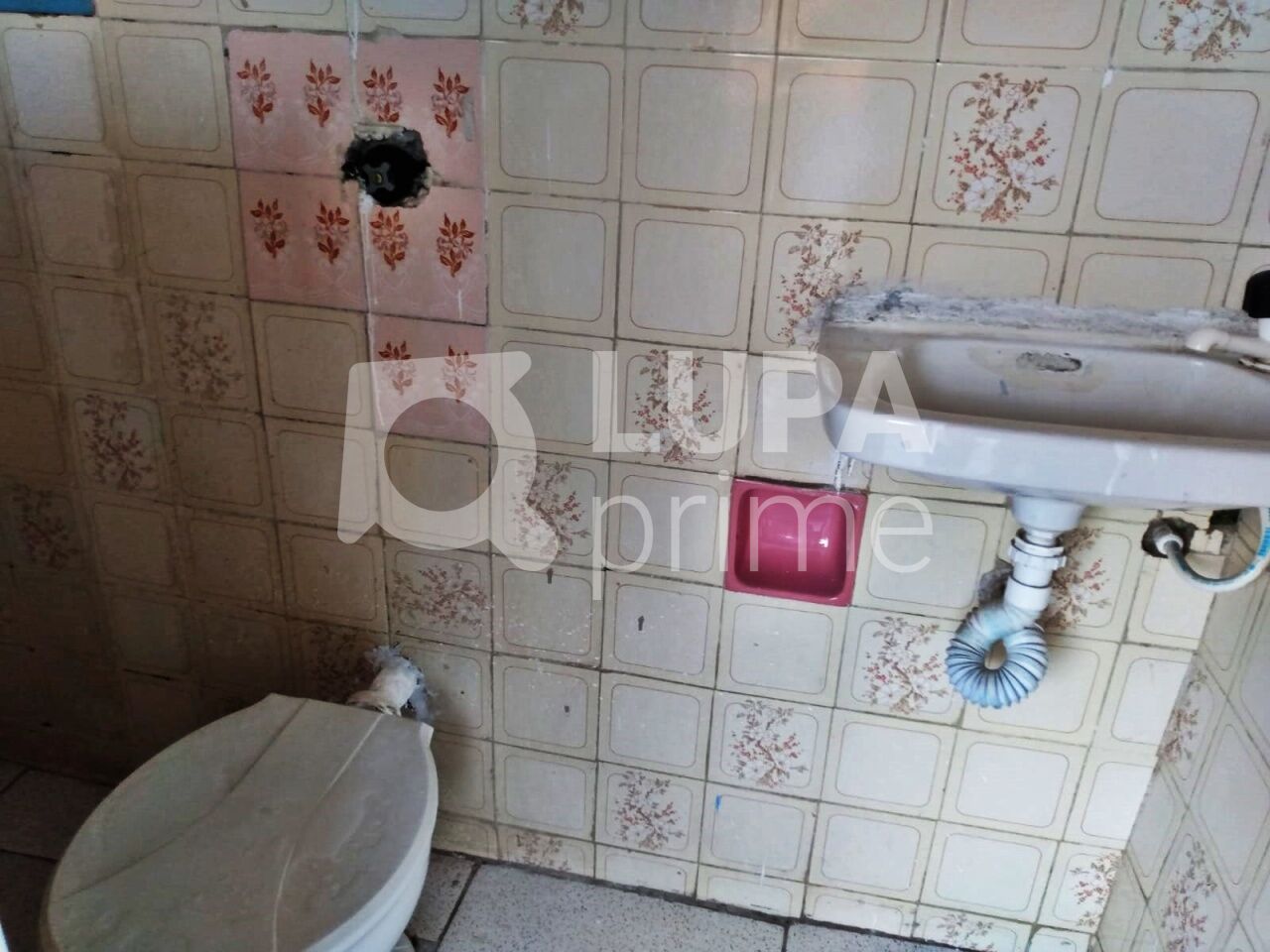 casa-terrea-locacao-sao-paulo-vila-maria-alta-1dormitorio-1vaga-30m2-LM29327