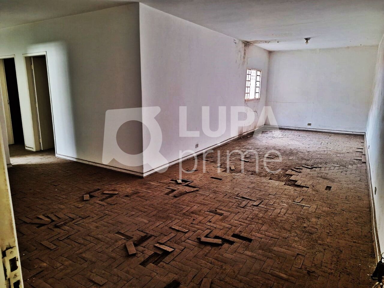 Sala-Conjunto, 187 m² - Foto 1