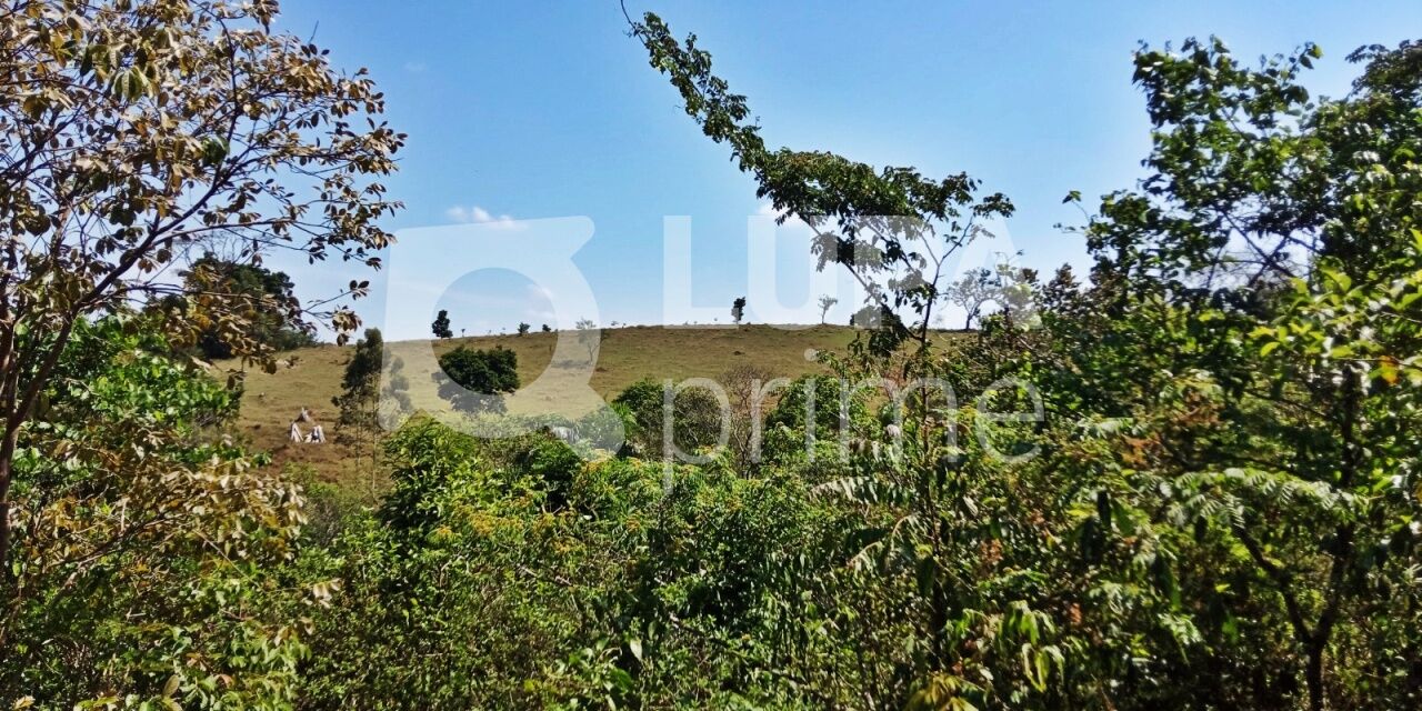 Terreno, 1040 m² - Foto 6