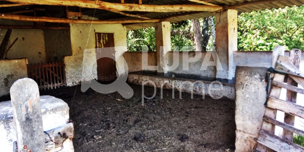 Terreno, 1040 m² - Foto 4