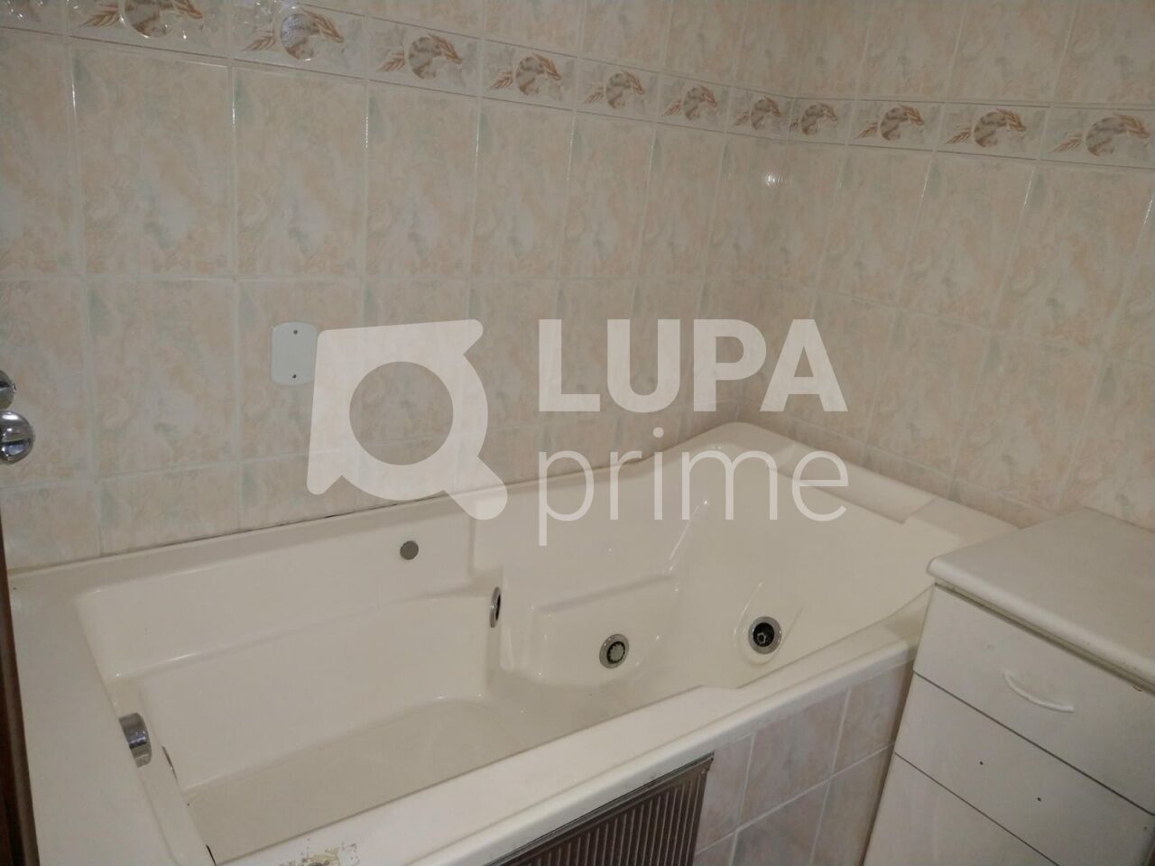 Casa, 3 quartos, 500 m² - Foto 12