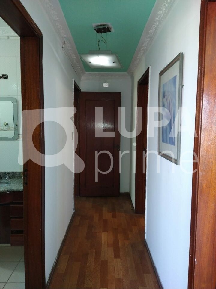 Casa, 3 quartos, 500 m² - Foto 7