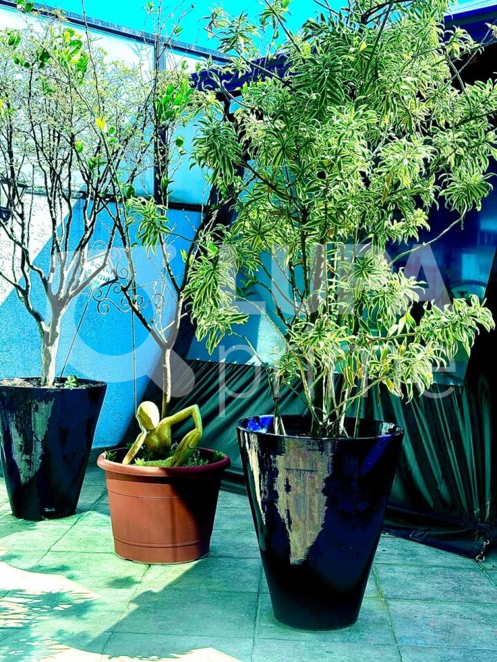 Casa Comercial, 650 m² - Foto 3