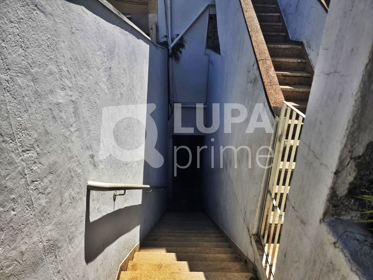 casa-terrea-locacao-sao-paulo-vila-maria-1dormitorio-40m2-LM29447