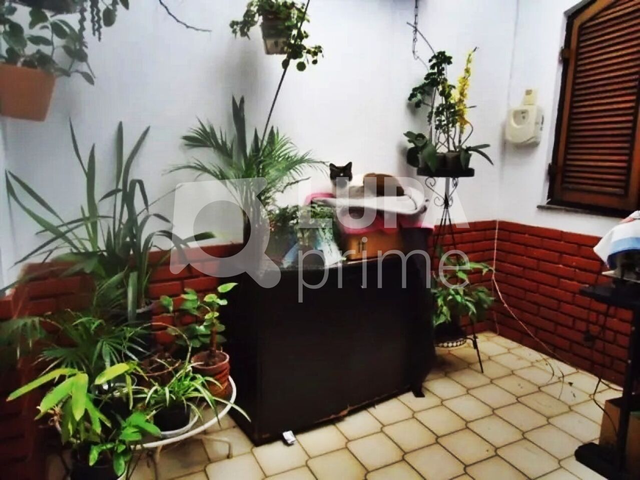 sobrado-venda-sao-paulo-vila-isolina-mazzei-3dormitorios-3suites-12vagas-246m2-LM29466