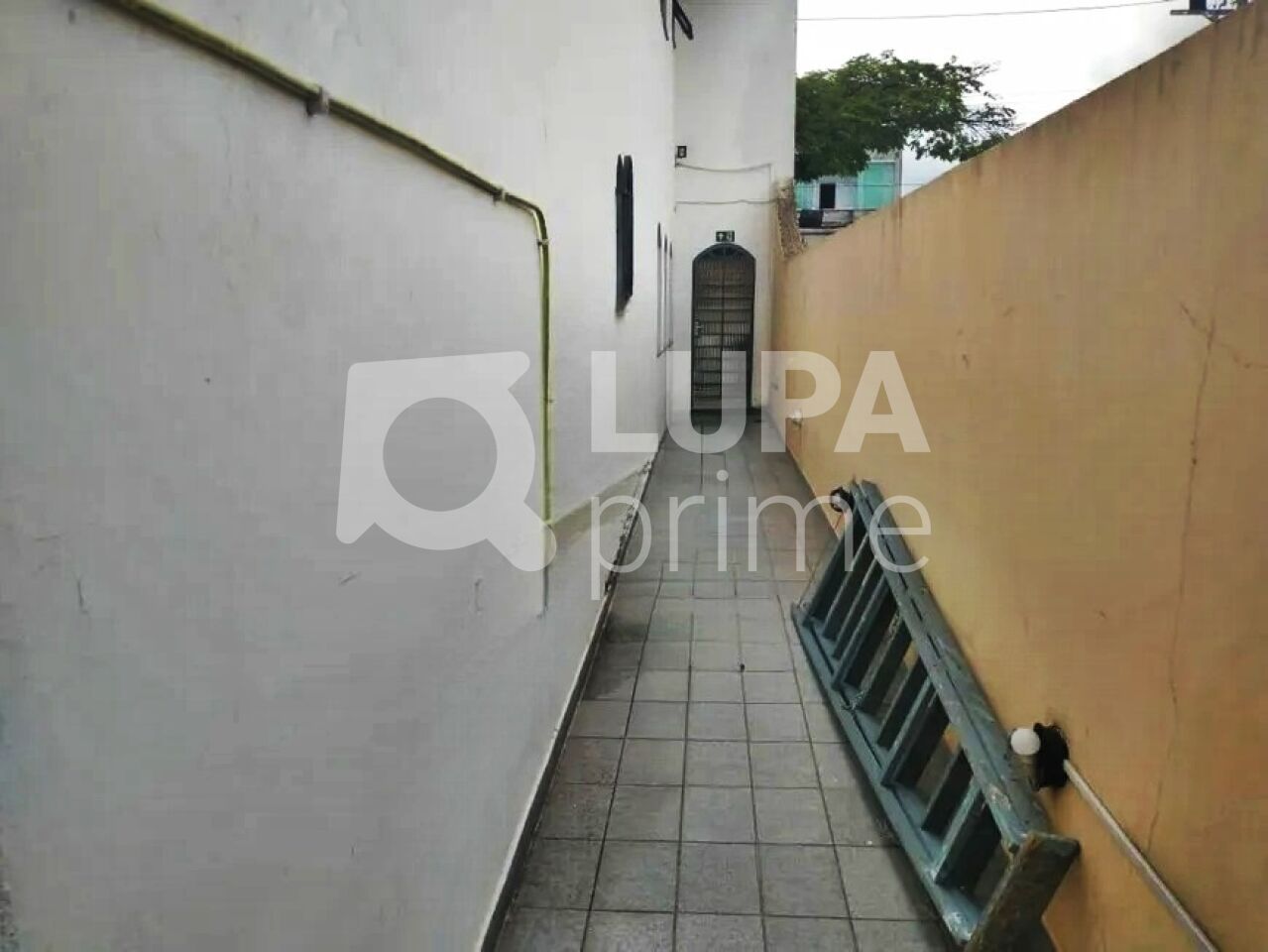 sobrado-venda-sao-paulo-vila-isolina-mazzei-3dormitorios-3suites-8vagas-284m2-LM29467