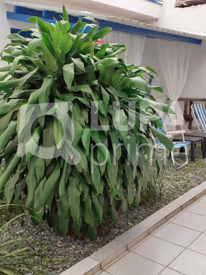 casa-assobradada-venda-sao-paulo-vila-baruel-4dormitorios-6vagas-164m2-LM29530