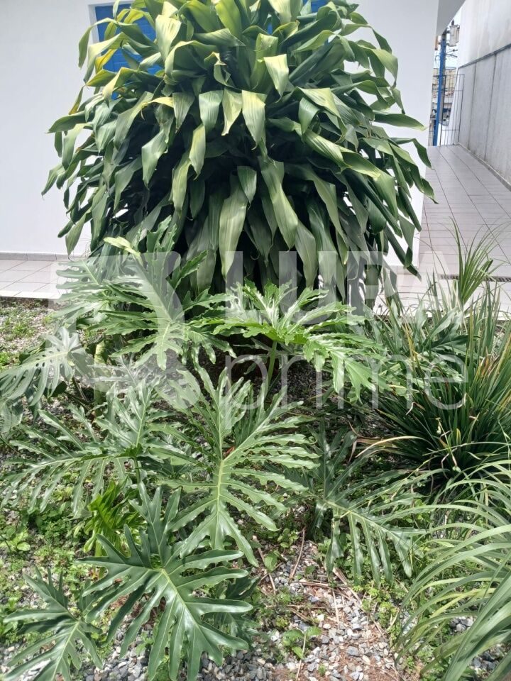 casa-assobradada-venda-sao-paulo-vila-baruel-4dormitorios-6vagas-164m2-LM29530