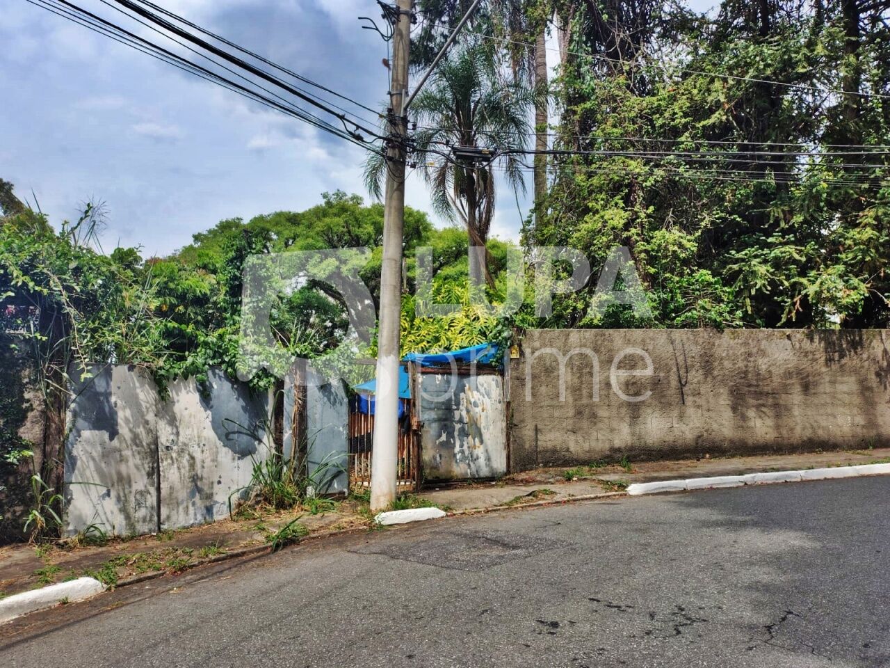 terreno-venda-sao-paulo-tucuruvi-LM29532