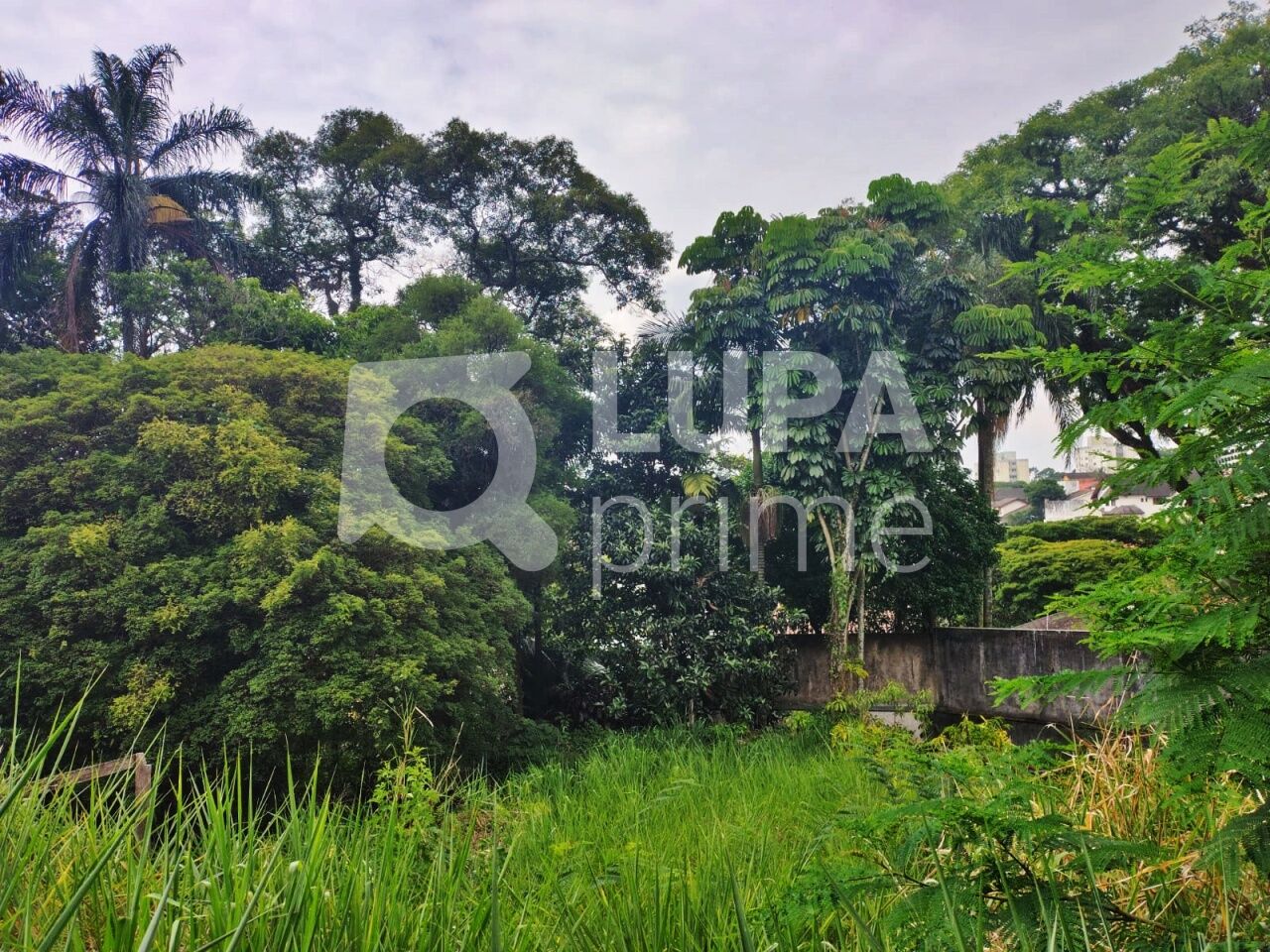 terreno-venda-sao-paulo-tucuruvi-LM29532