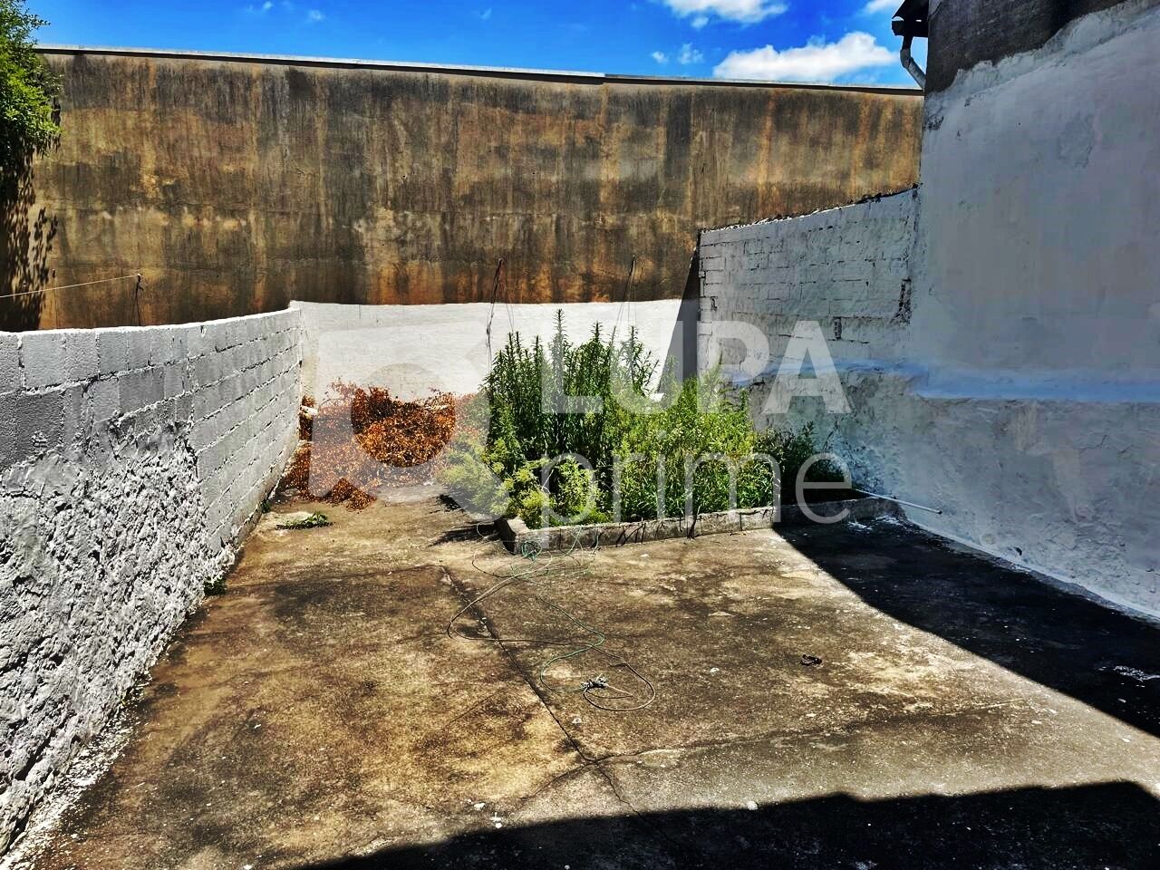 casa-terrea-venda-sao-paulo-vila-maria-baixa-2dormitorios-1vaga-77m2-LM29547