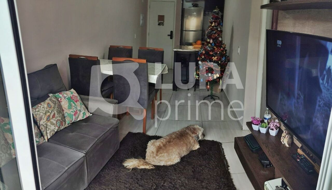 apartamento-venda-sao-paulo-tucuruvi-2dormitorios-68m2-LM29548