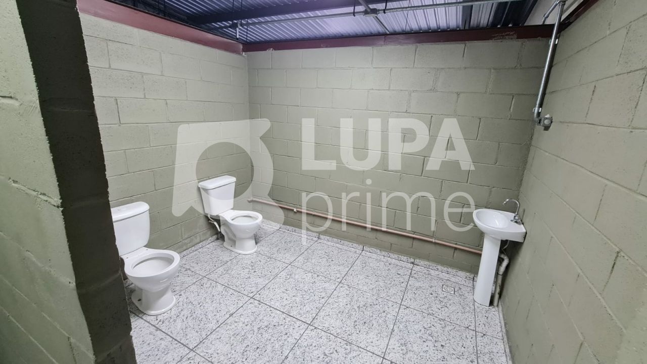 Sala-Conjunto, 300 m² - Foto 6