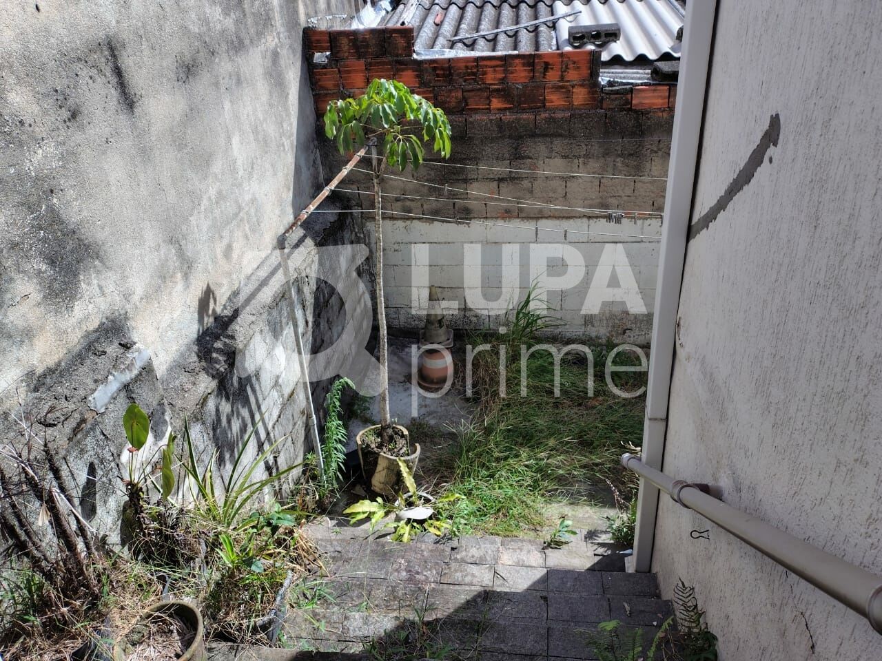 terreno-venda-sao-paulo-vila-guilherme-150m2-LM29599