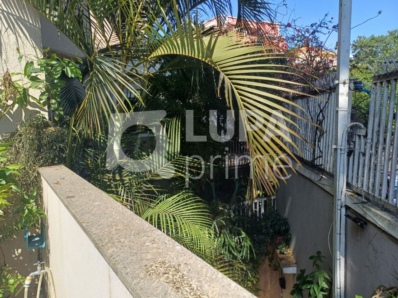 sobrado-venda-sao-paulo-agua-fria-3dormitorios-1suite-3vagas-230m2-LM29623