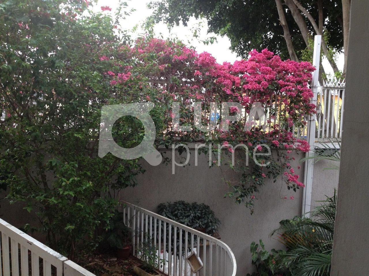 sobrado-venda-sao-paulo-agua-fria-3dormitorios-1suite-3vagas-230m2-LM29623