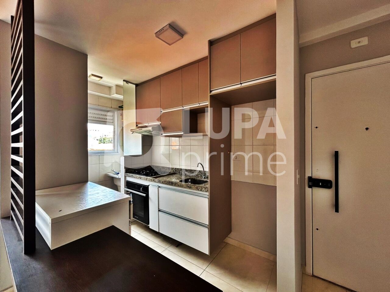 apartamento-venda-sao-paulo-tucuruvi-2dormitorios-50m2-LM29640