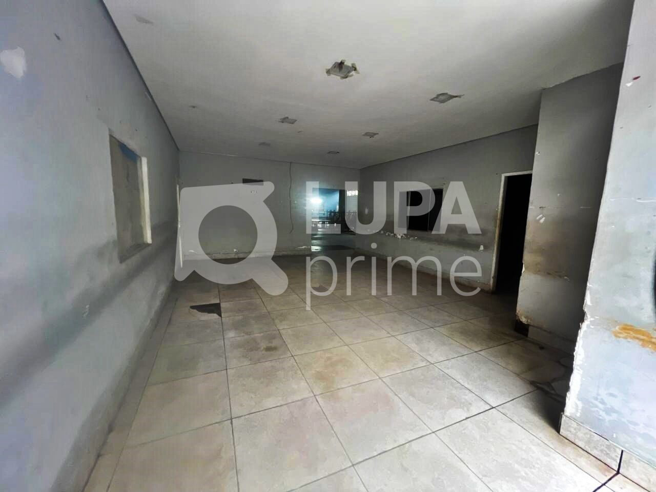 Sala-Conjunto, 1600 m² - Foto 3
