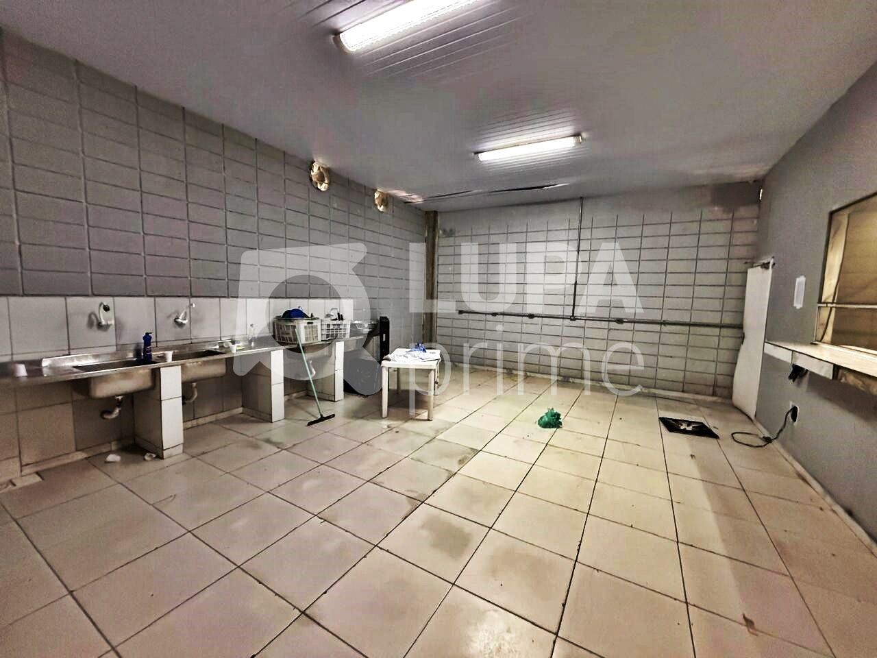 Sala-Conjunto, 1600 m² - Foto 9