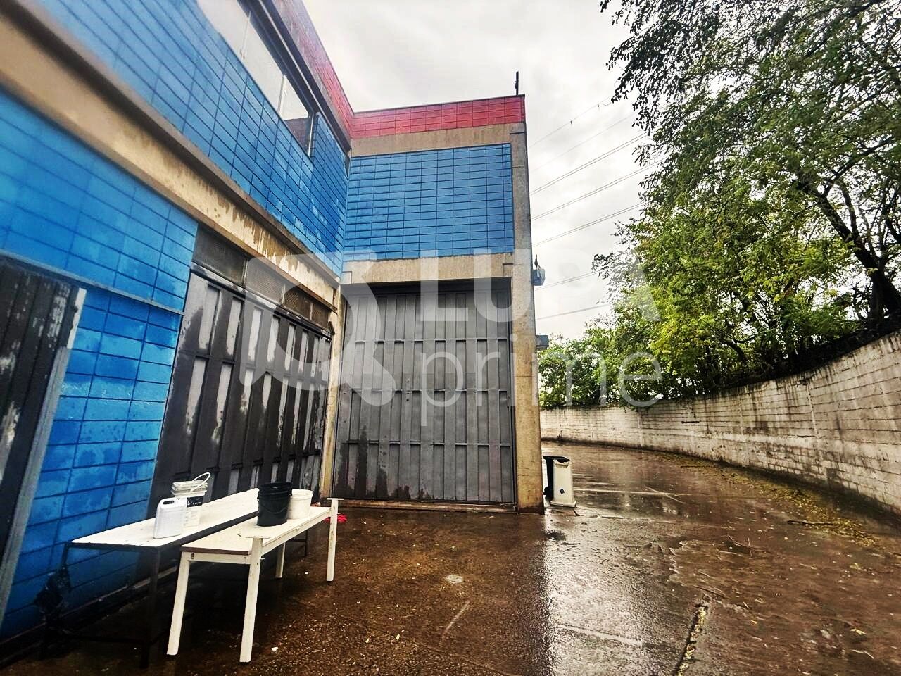 Sala-Conjunto, 1600 m² - Foto 13