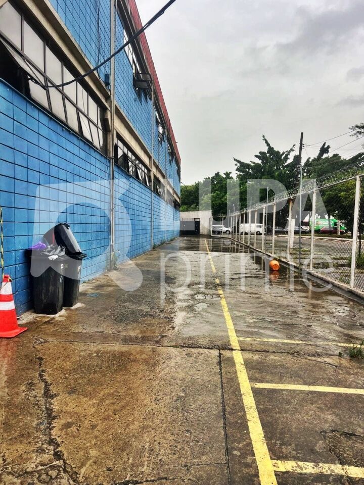 Sala-Conjunto, 1600 m² - Foto 17