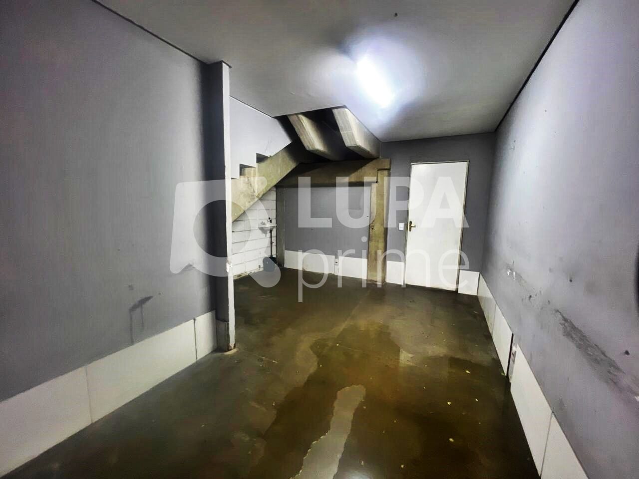 Sala-Conjunto, 1600 m² - Foto 4