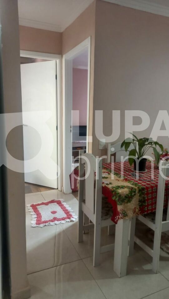 apartamento-venda-sao-paulo-vila-santos-2dormitorios-39m2-LM29702