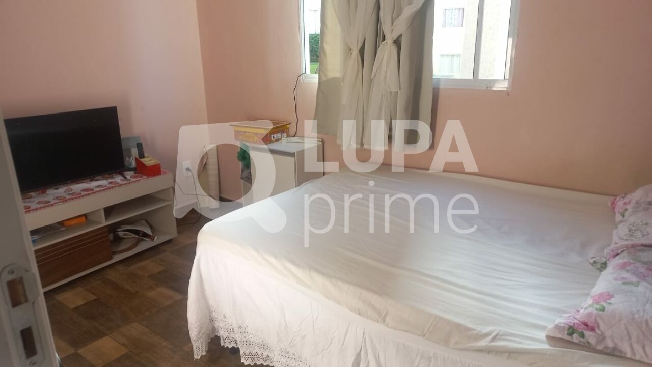 apartamento-venda-sao-paulo-vila-santos-2dormitorios-39m2-LM29702