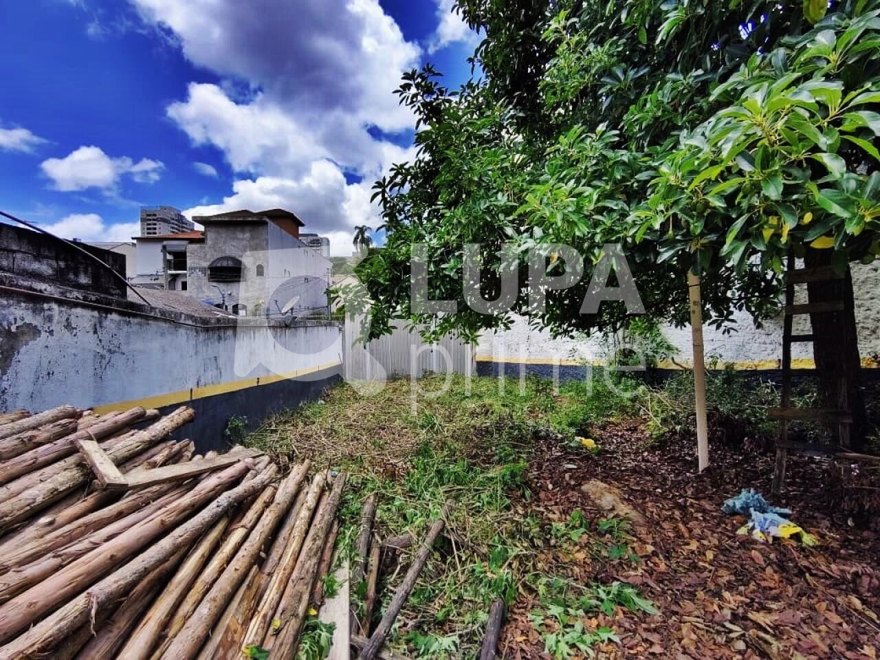 terreno-venda-sao-paulo-tucuruvi-228m2-LM29706