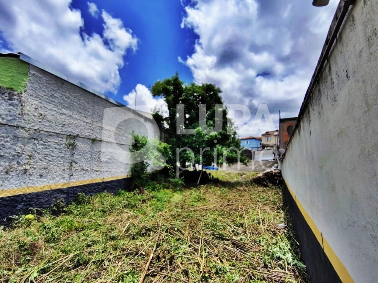 terreno-venda-sao-paulo-tucuruvi-228m2-LM29706