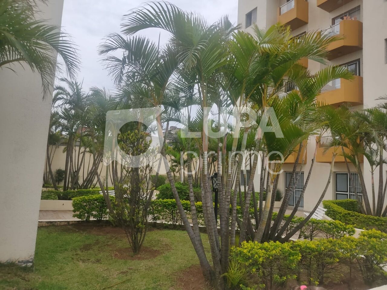 apartamento-venda-sao-paulo-vila-medeiros-2dormitorios-1vaga-63m2-LM29717