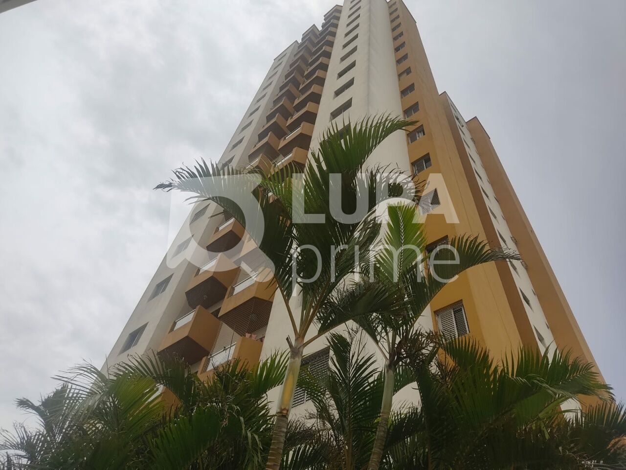 apartamento-venda-sao-paulo-vila-medeiros-2dormitorios-1vaga-63m2-LM29717