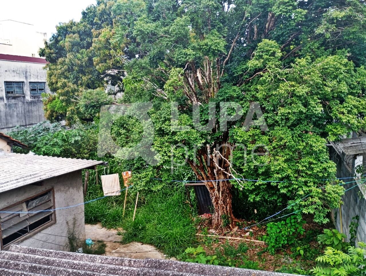 Terreno, 540 m² - Foto 3