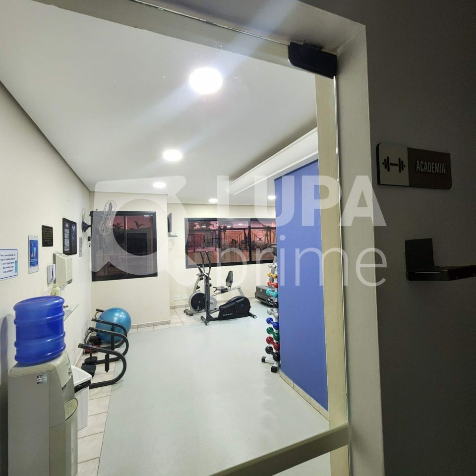 apartamento-locacao-sao-paulo-lauzane-paulista-3dormitorios-1suite-2vagas-69m2-LM29788