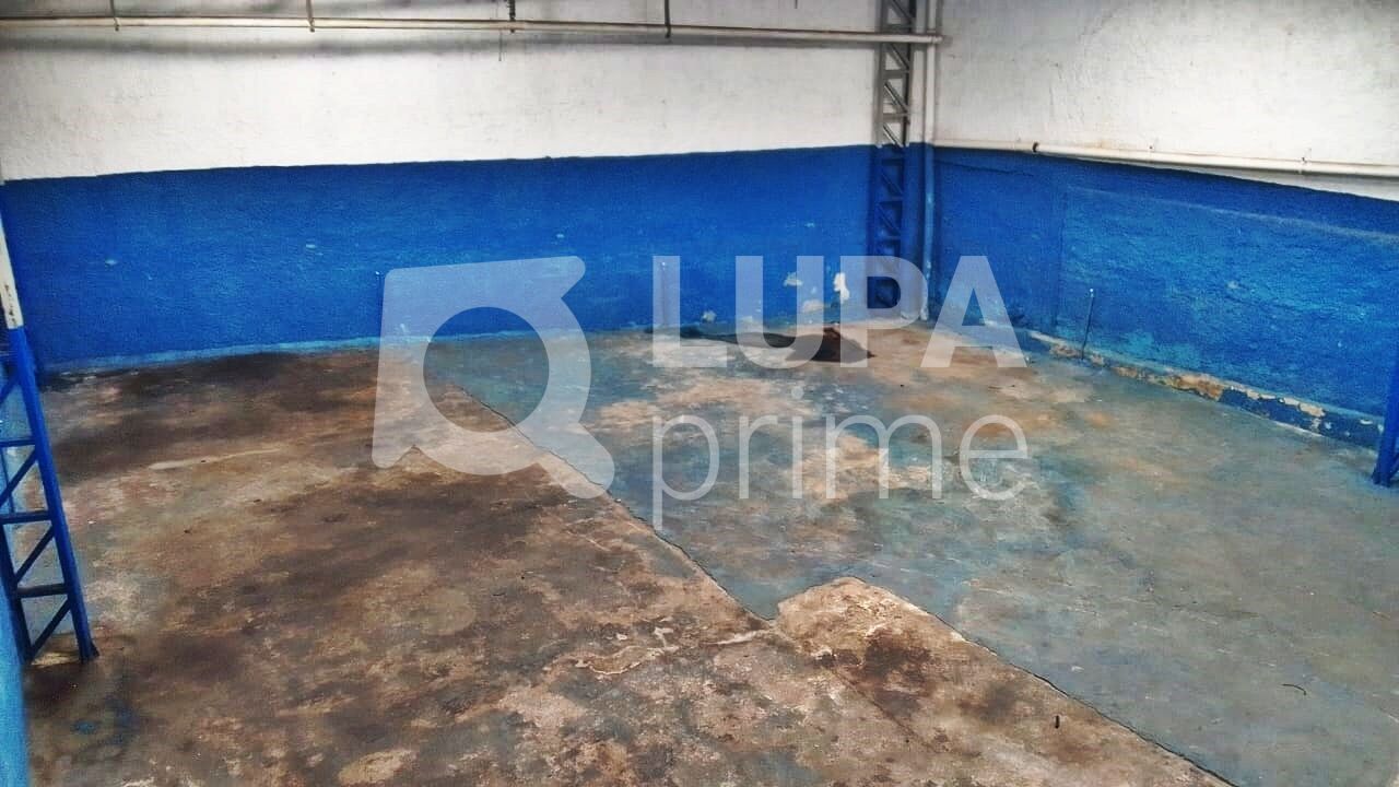 galpao-locacao-sao-paulo-vila-maria-3vagas-300m2-LM29795
