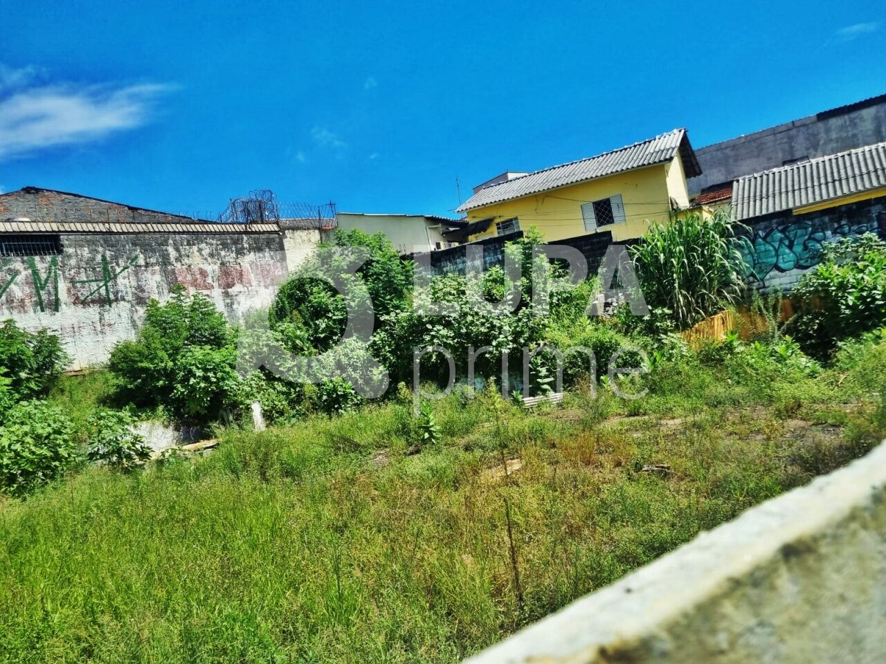 terreno-venda-sao-paulo-vila-maria-alta-LM29805