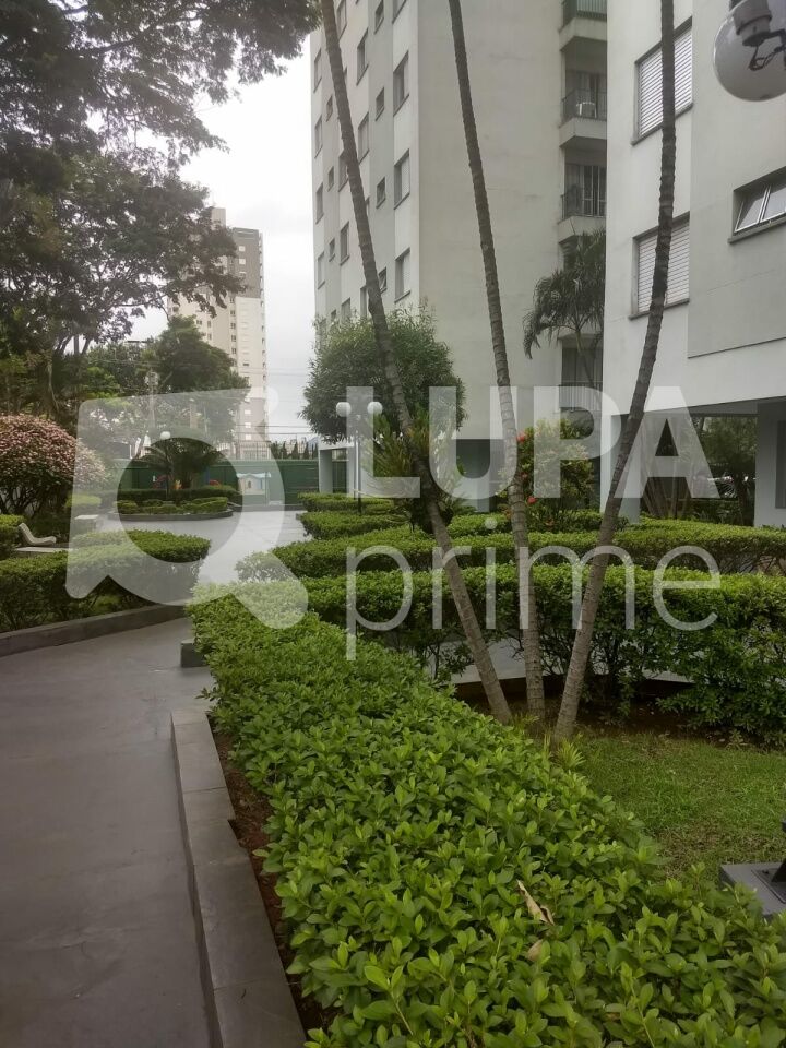 apartamento-venda-sao-paulo-vila-amelia-2dormitorios-1vaga-73m2-LM29823