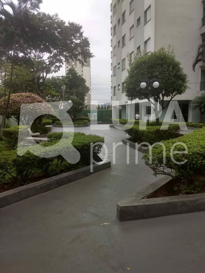 apartamento-venda-sao-paulo-vila-amelia-2dormitorios-1vaga-73m2-LM29823