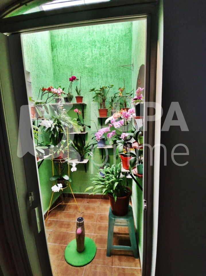 sobrado-venda-sao-paulo-vila-isolina-mazzei-3dormitorios-1suite-3vagas-165m2-LM29843